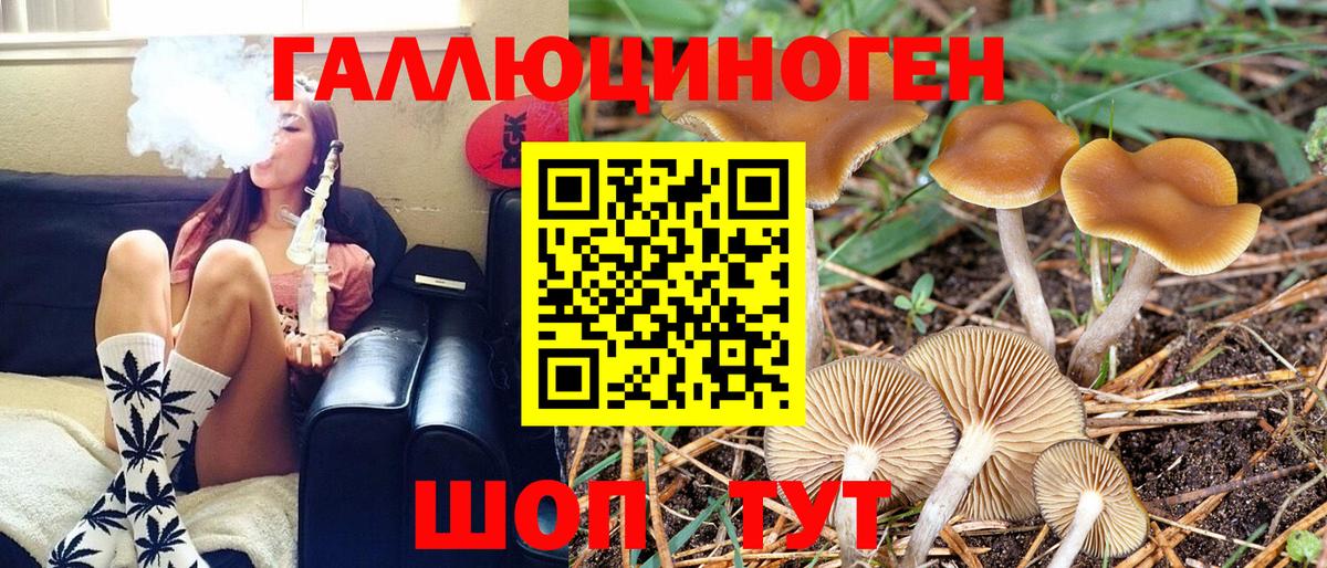 Псилоцибиновые грибы Psilocybine cubensis  Вход с VPN  Галлюциногенные грибы прущие грибы  где продают наркотики  Городец 