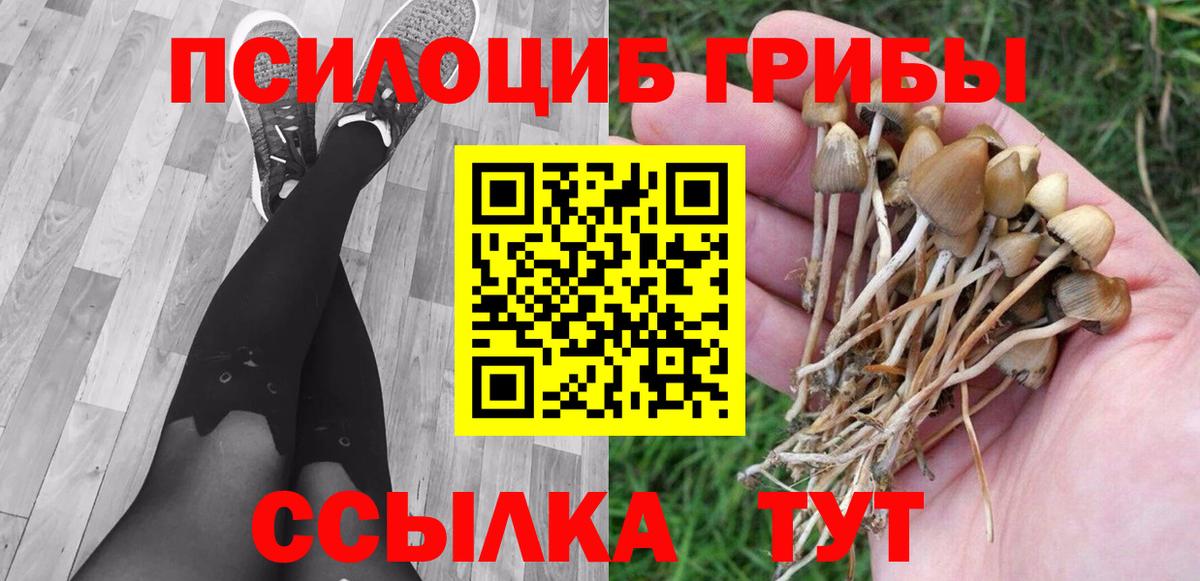 Галлюциногенные грибы Cubensis Городец